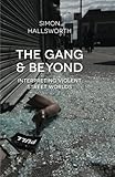 The gang and beyond : interpreting violent street worlds