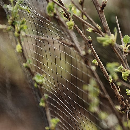 Deer Animal Fence Netting 6 56ft x 100ft Protective