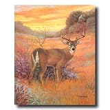 Whitetail Buck Deer Big Antler Rack Sunset Cabin Home Decor Wall Picture 16x20 Art Print