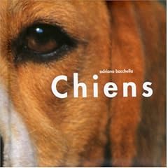 Chiens