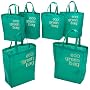 DII Eco Green Grocery Bag, Set of 6