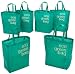 DII Eco Green Grocery Bag, Set of 6