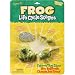 Life Cycle Stages - Frog
