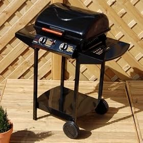 Fire Mountain 2 Burner Gas BBQ
