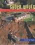 Shock Waves Through Los Angeles: The Northridge Earthquake