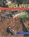 Shock Waves Through Los Angeles: The Northridge Earthquake