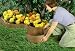 Outdoor Living : Easy Gardener 8402 Ultra Edge Composite Landscape Edging With 25 Year Warranty - 20-Foot Brown