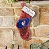 Arizona Wildcats Colorblock Plush Stocking