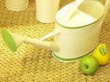 Apple and Pear by Metal Watering Can on Straw Mat Stretched Canvas Poster Print, 30x40 Apple and Pear by Metal Watering Can on Straw Mat Stretched Canvas Poster Print, 30x40