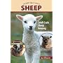 Sheep: Small-Scale Sheep Keeping For Pleasure And Profit (Hobby Farm)