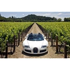 A4 10x8 Gloss Glossy Art Photo Print bugatti veyron grand sport 07.jpg