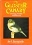 The Gloster Canary