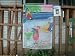 Outdoor Living : Premier Designs 5 O'Clock Somewhere Flag