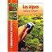Algues (les)