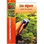 Algues (les)