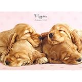 Cute Puppy 2014 Wall Calendar