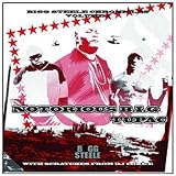 Bigg Steele Chronicles Volume 1