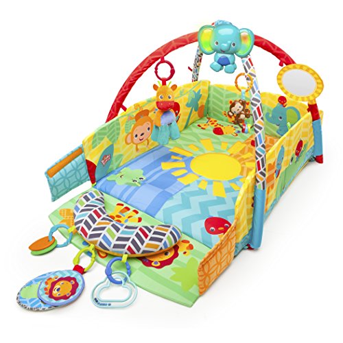 Bright Starts Sunny Safari Baby s Play Place