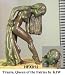 Hasslefree Miniatures: Demonettes & Faeries - Titania, Queen of the fairies