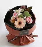 �y11����������z�o���ƃK�[�x���̃v���}�u�[�P