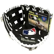 Wilson WTA0200 DW9-MLB 9 Inch Youth Baseball Glove