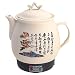 Sunpentown NY-656 3-4/5-Liter Chinese Herbal Medicine Cooker with Stainless Heater