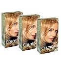 Revlon ColorSilk Haircolor #73 Champagne Blonde 3-PACK