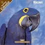 Macaws 2008 Wall Calendar
