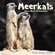 Meerkats 2010 Wall Calendar