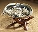 Abalone Shell & Wooden Tripod