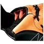 Easton Z-Flex Youth Baseball Glove (Tan, 10.5-Inch)