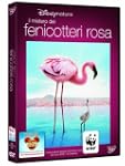 Il Mistero Dei Fenicotteri Rosa