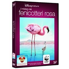 Il Mistero Dei Fenicotteri Rosa