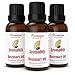 Rosemary Essential Oil by AromaOils - 1 oz (30 ml) - Best Used Now for Aromatherapy, Pain Relief, Stress Management, DIY Skincare and Hair Growth - 100% Pure Therapeutic Grade