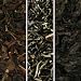 oolong tea collection
