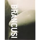 Brancusi by  Pierre Cabanne