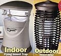 Stinger Indoor/outdoor Insect Killer - Total Home Defense