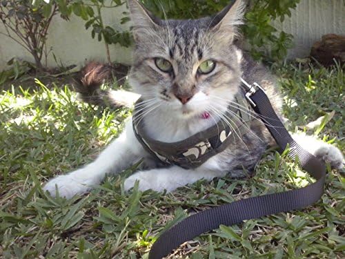 Cat Harness Vest by Pet Lovers Stuff - Dog Harness ideal for Chihuahuas, Puppies, Toy Breeds - Walking Training Vest Harness Prevent Injuries + 6 ft Bonus leash ...