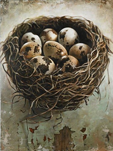 "Tangled II" 18" x 24" Fine Art Giclee Print on Gallery Wrapped Canvas - w/ Optional Frame