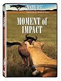 Nature: Moment of Impact