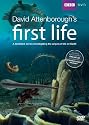 David Attenborough's First Life [DVD]
