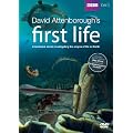 David Attenborough's First Life [DVD]