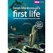David Attenborough's First Life [DVD]