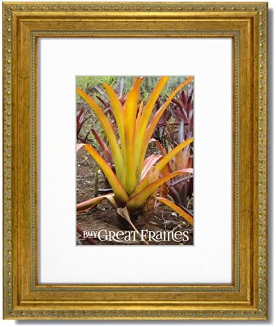 Set of 2 - 11x14 Ornate Heritage Gold Picture Frames and Clear Glass with a single Warm White Mat for 8x10