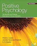 Positive psychology : the scientific and practical explorations of human strengths