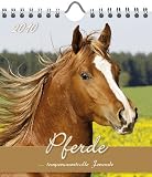Produkt-Bild: Postkartenkalender Pferde 2010