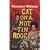 Cat on a Hot Tin Roof