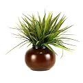 Faux Grass in Bowl - Green