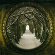 The Secret Kingdom