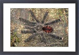 守妇女的风流韵事,沈煜伦整容前照片,女王美手